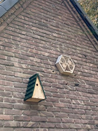 2021 Vogelhuisje opknappen